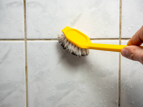 Best Mold Remediation for Specific Building Types in Richmond, VA