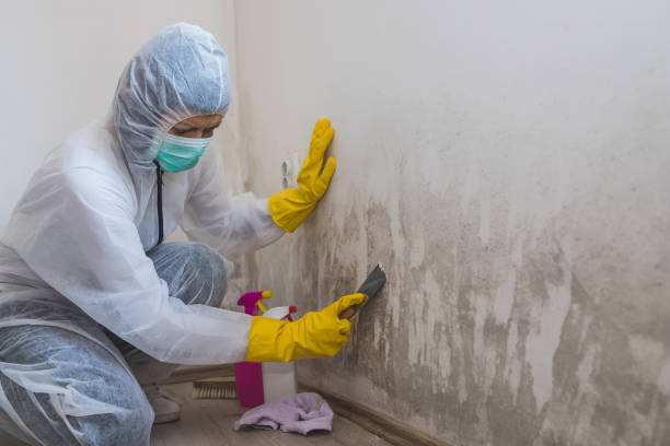 Best Bathroom Mold Remediation in Richmond, VA