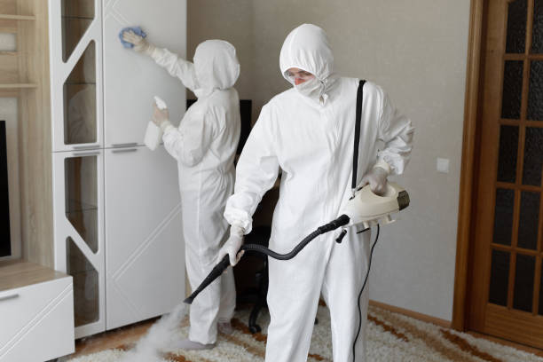Best Crawl Space Mold Remediation in Richmond, VA