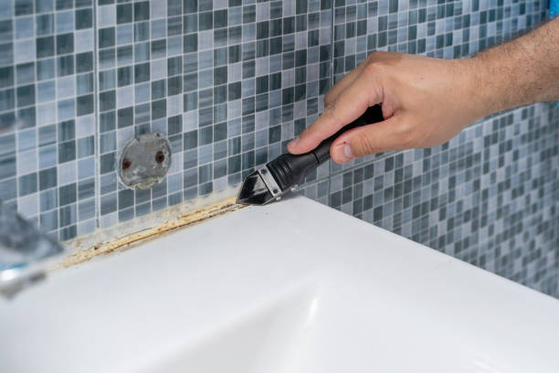  Richmond, VA Mold Removal Pros
